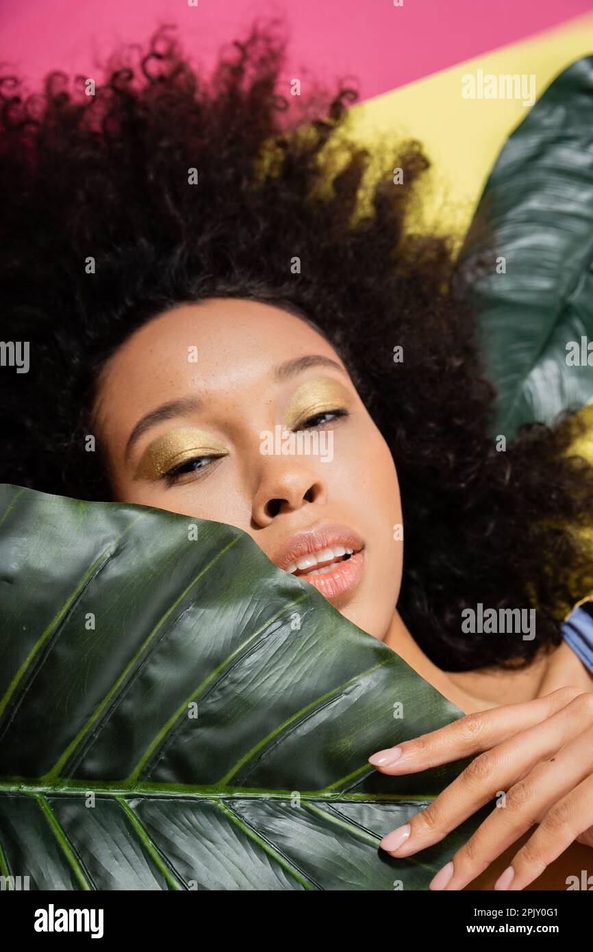 top view of curly african american woman getting tan near green palm leaves on pink Stock Photo