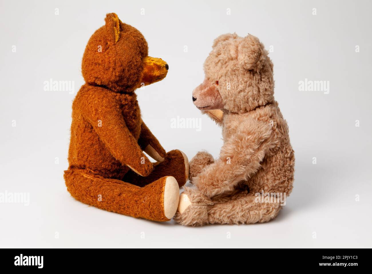 Two teddy bears Stock Photo