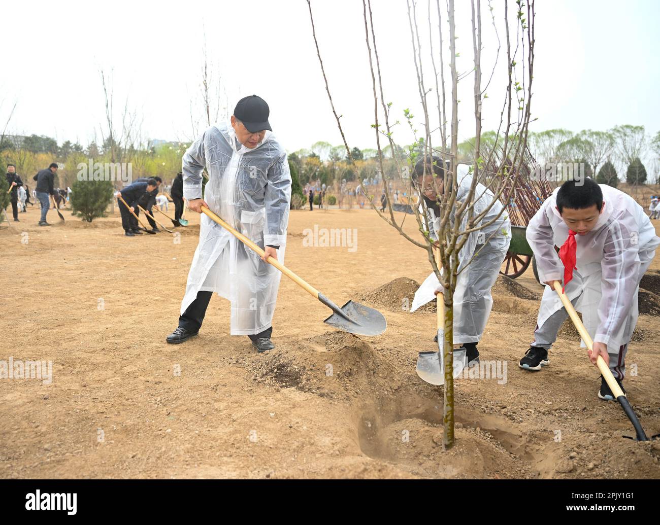 Li Xi Tree Beijing, China. 4th Apr, 2023. Chinese President Xi Jinping, also ...