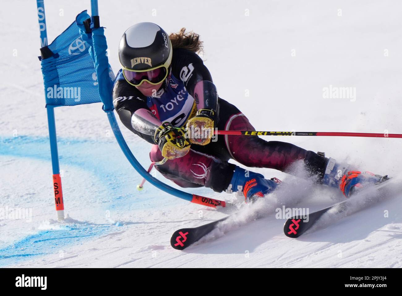 Galena Wardle competes in the women's giant slalom ski race during the