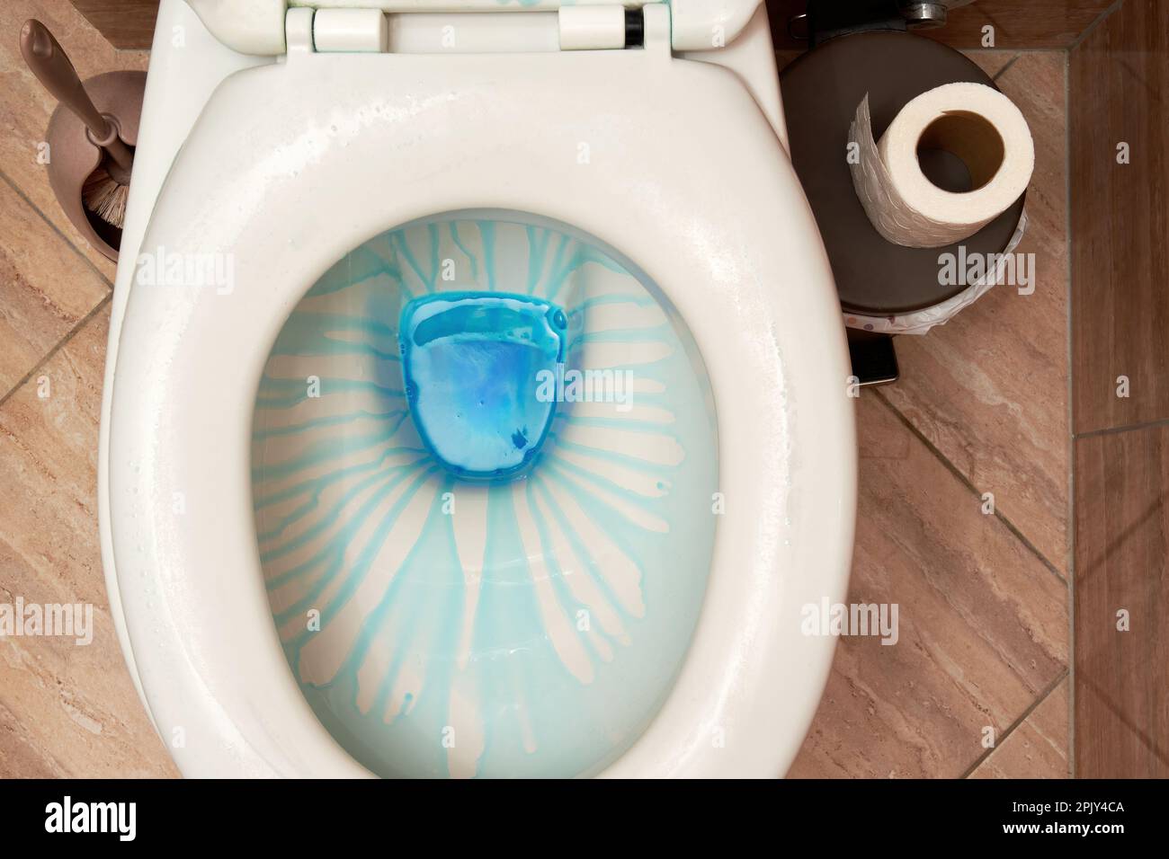 Top view of cleaning toilet with blue detergent and toilet paper
