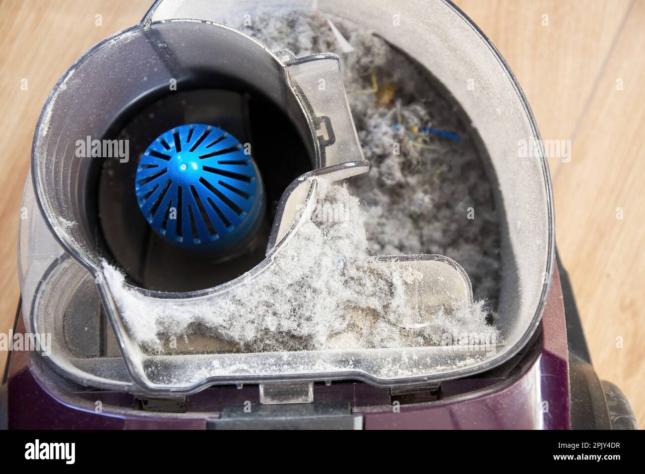 Full of dust dirty open vacuum cleaner tank. Housekeeping and cleaning