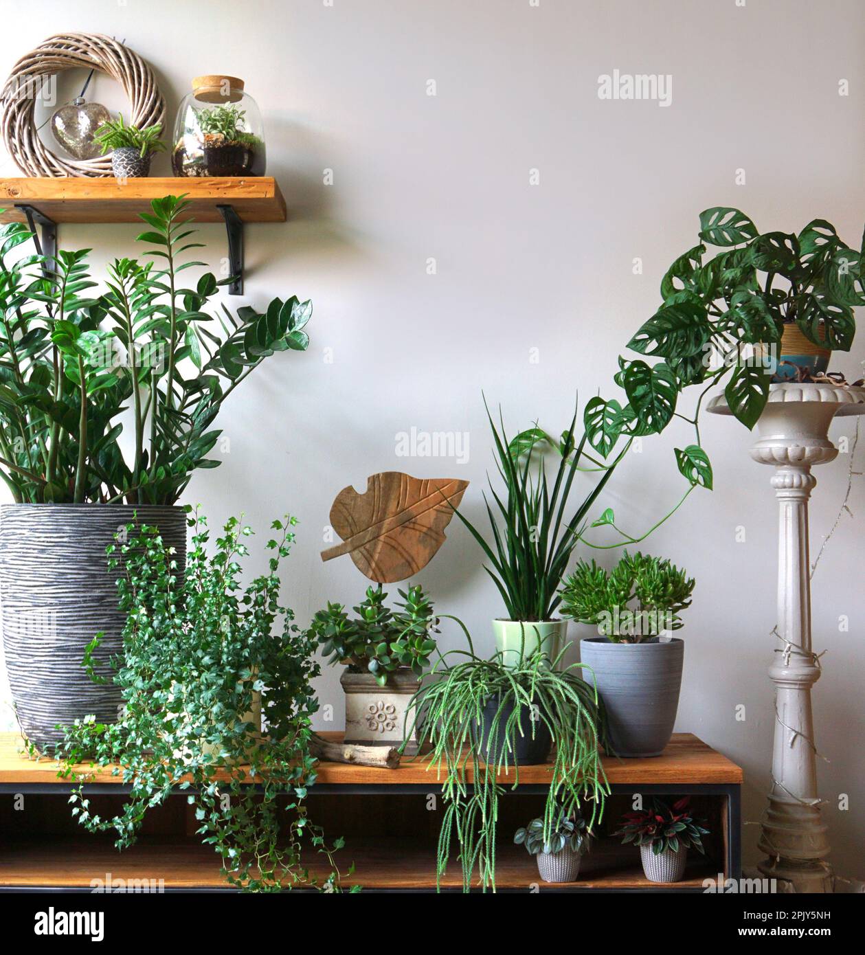 Different indoor plants in living room with decorations on the table Stylish composition of home garden green industrial interior. Urban jungle. Stock Photo