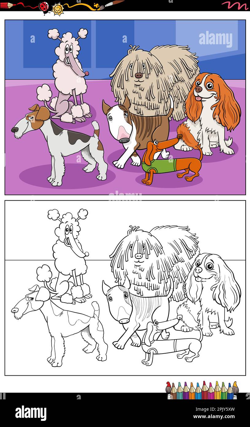 Cartoon illustrations of funny purebred dogs animal characters group coloring page Stock Vector