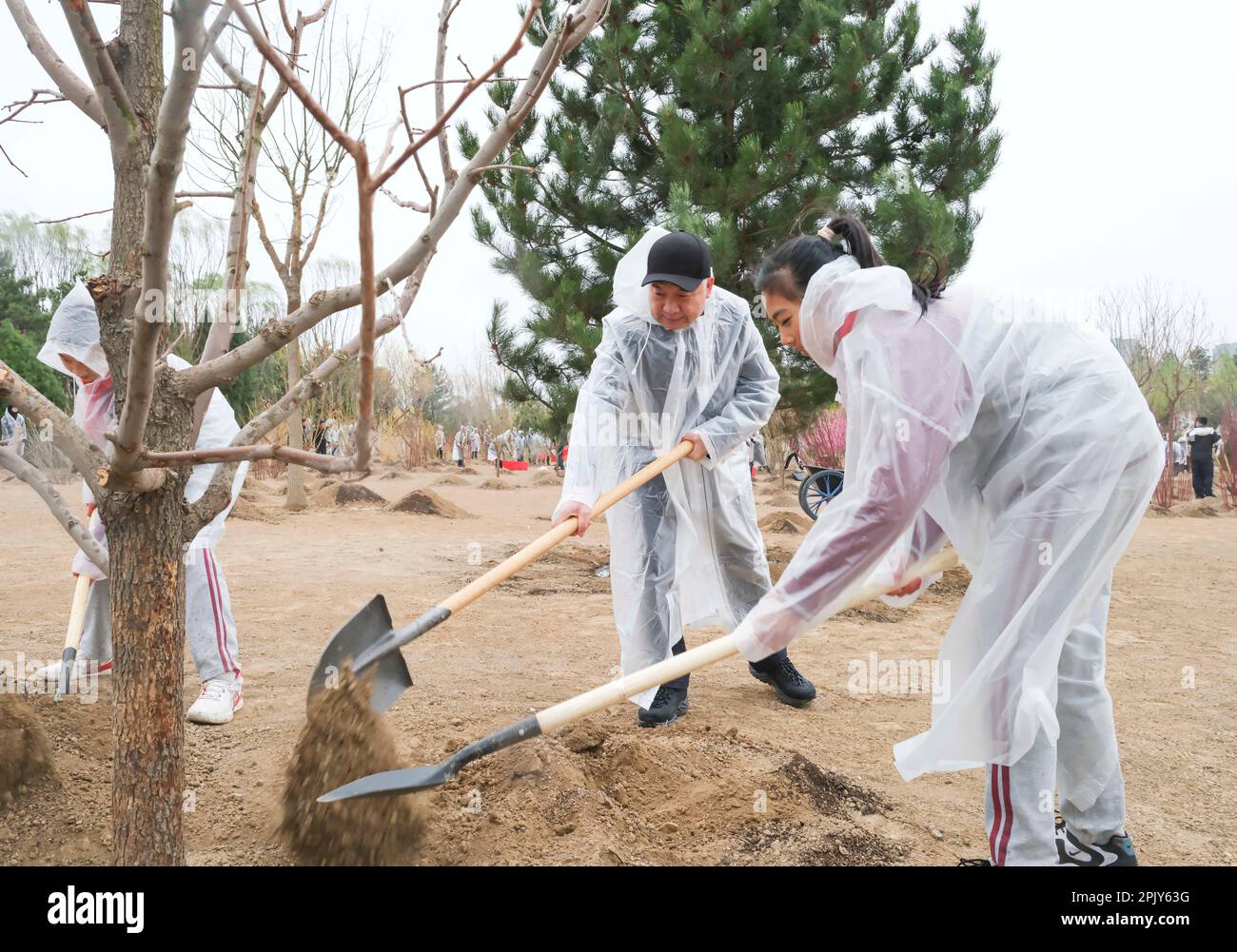 Beijing, China. 4th Apr, 2023. Li Xi plants a tree during a voluntary tree planting activity in Chaoyang District in Beijing, capital of China, April 4, 2023. Party and state leaders Xi Jinping, Li Qiang, Zhao Leji, Wang Huning, Cai Qi, Ding Xuexiang, Li Xi, and Han Zheng, planted trees with local people at a city park in the eastern district of Chaoyang in the spring shower. Credit: Ding Lin/Xinhua/Alamy Live News Stock Photo