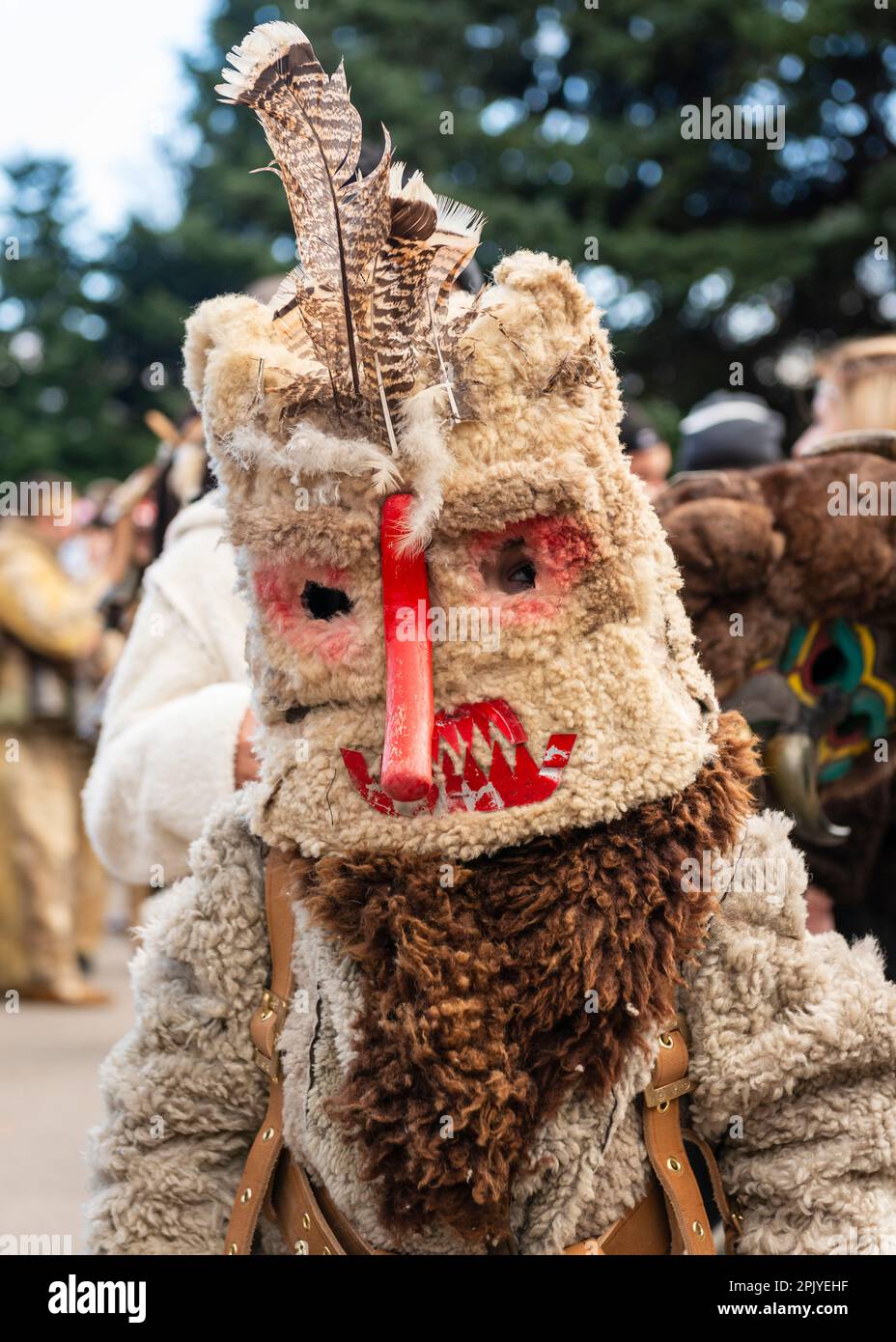 Kukeri dancer wearing animal skin costume and mask at the annual urban ...
