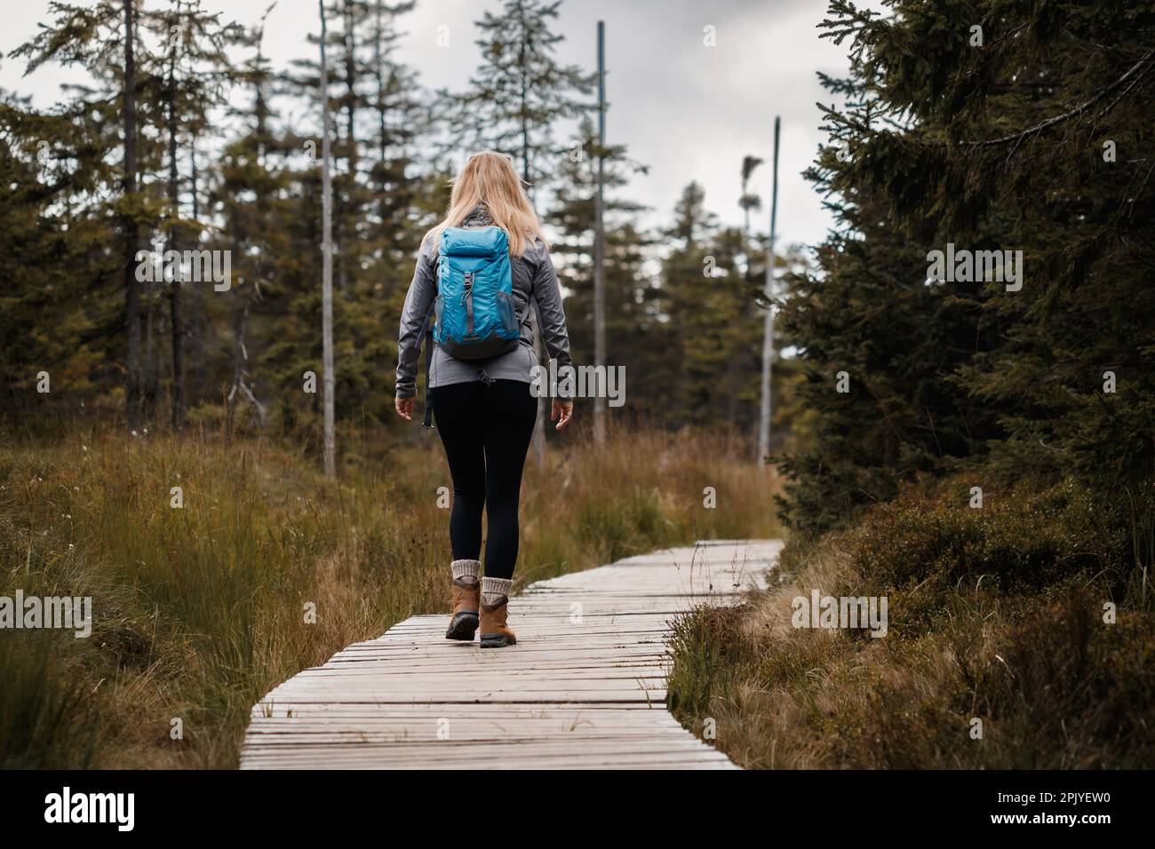 Woman tourist with backpack hiking on wooden footpath in mountains forest. Trekking trail Stock Photo