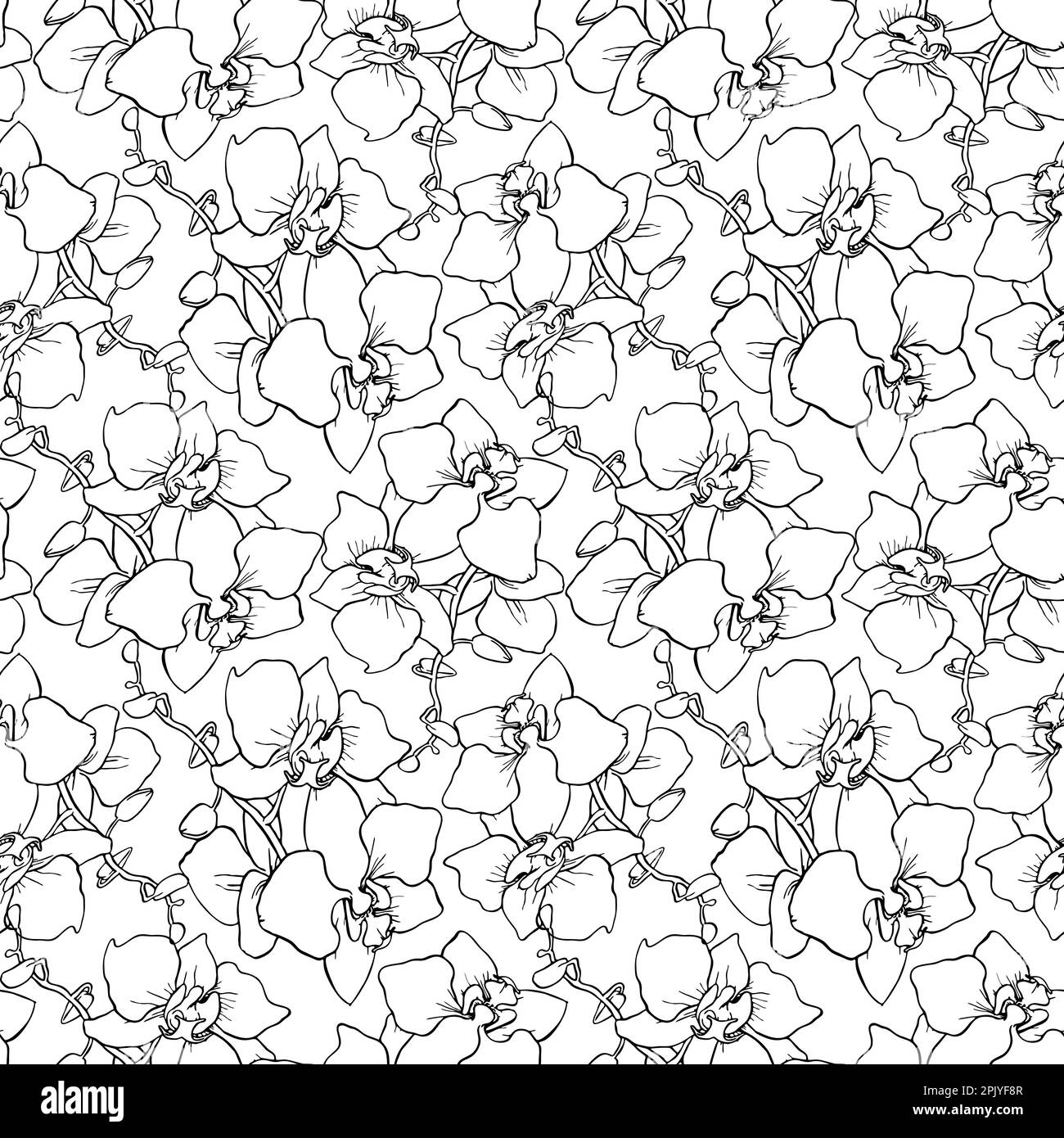 seamless pattern of large black silhouettes of orchids on a white background, texture, design Stock Photo