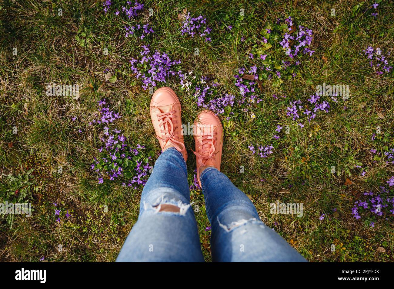 Woman wearing pink top jeans hi-res stock photography and images - Alamy