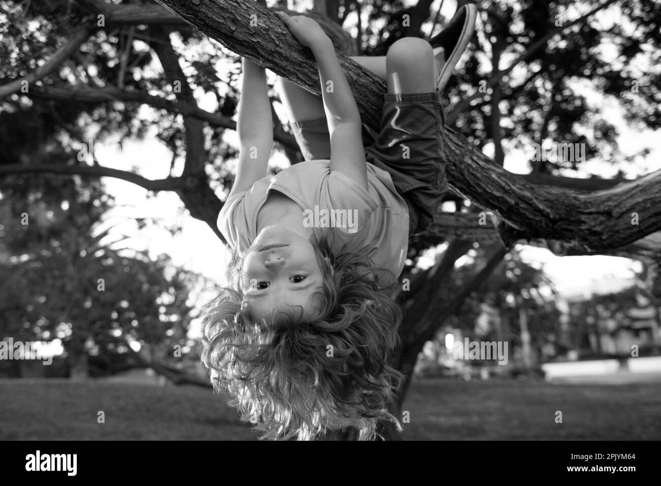 Little kid on a tree branch. Climbing and hanging child. Portrait of a beautiful kid in park among trees. Extreme kid sport. Child climbs a tree. Stock Photo