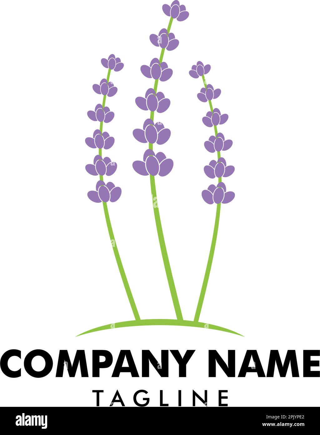 Lavender Template logo design vector illustration Stock Vector Image ...