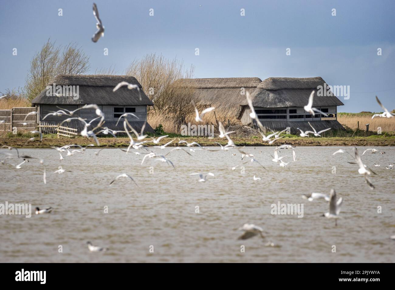 View of the bird hides across the water at Cley Marshes nature reserve
