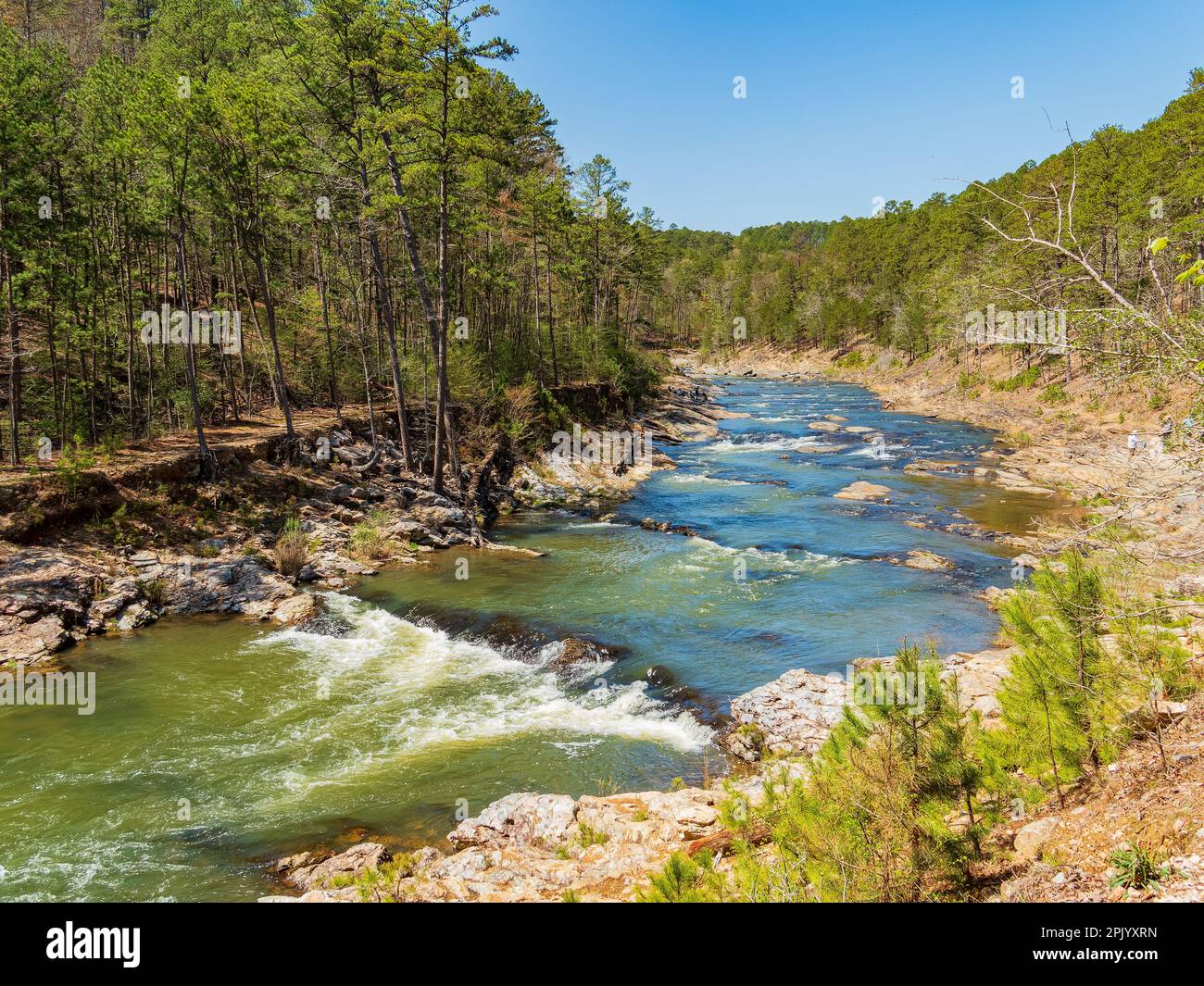 Sunny view of the landscape of Friends Trail Loop Trail in Beavers Bend ...