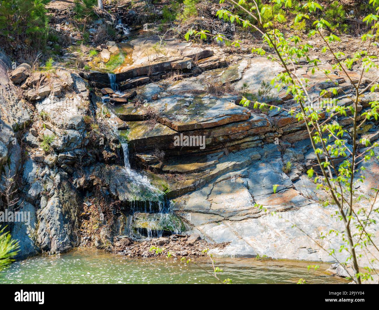 Sunny view of the landscape of Friends Trail Loop Trail in Beavers Bend