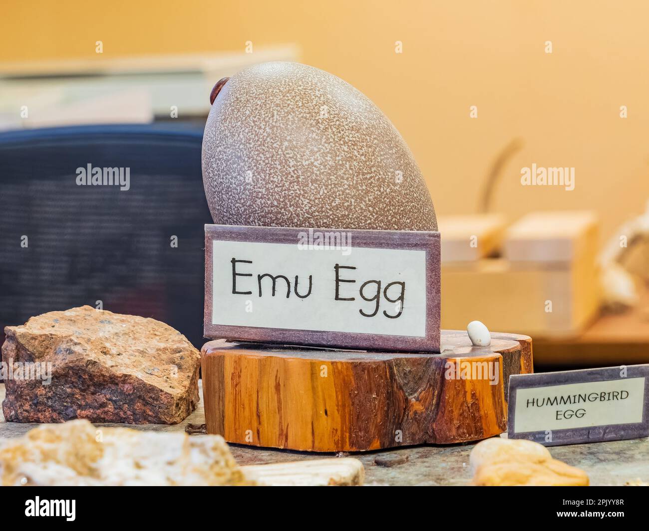 Beavers bend nature center hires stock photography and images Alamy