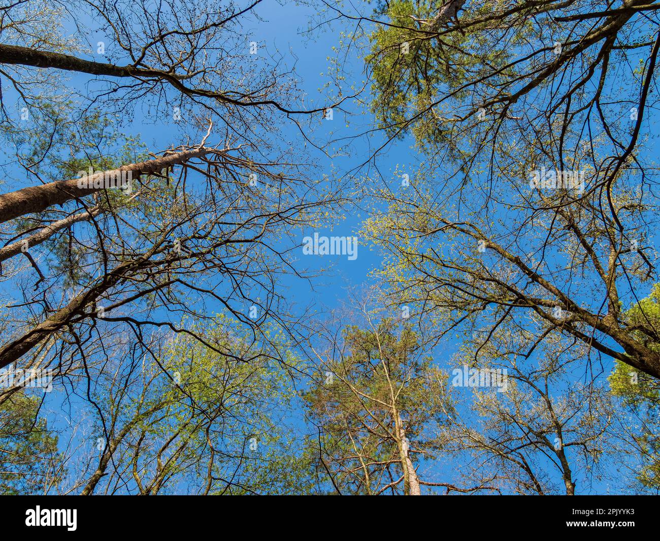 Sunny view of the Cypress Campground in Beavers Bend State Park at