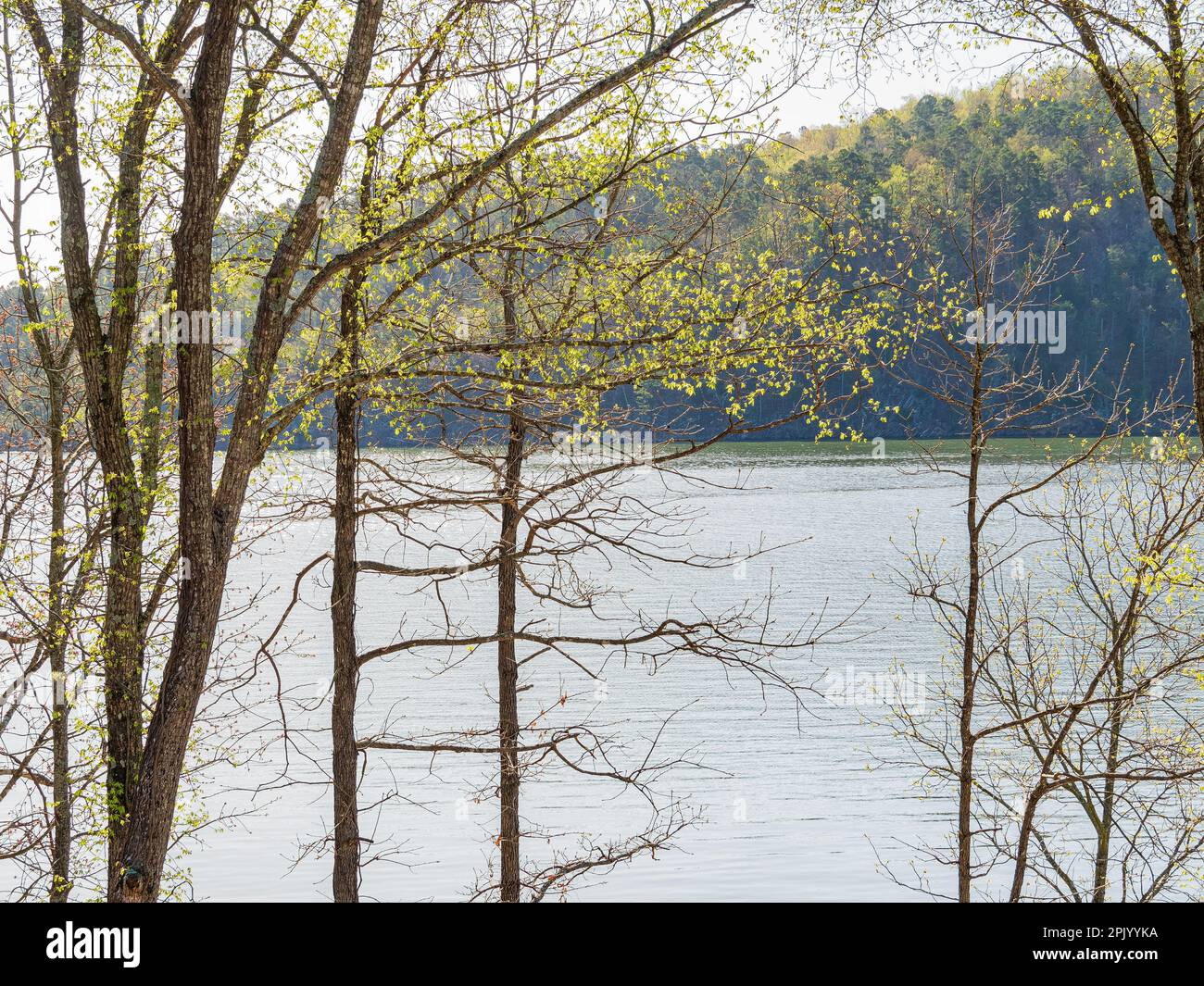 Sunny view of the landscape of Broken Bow Lake in Beavers Bend State