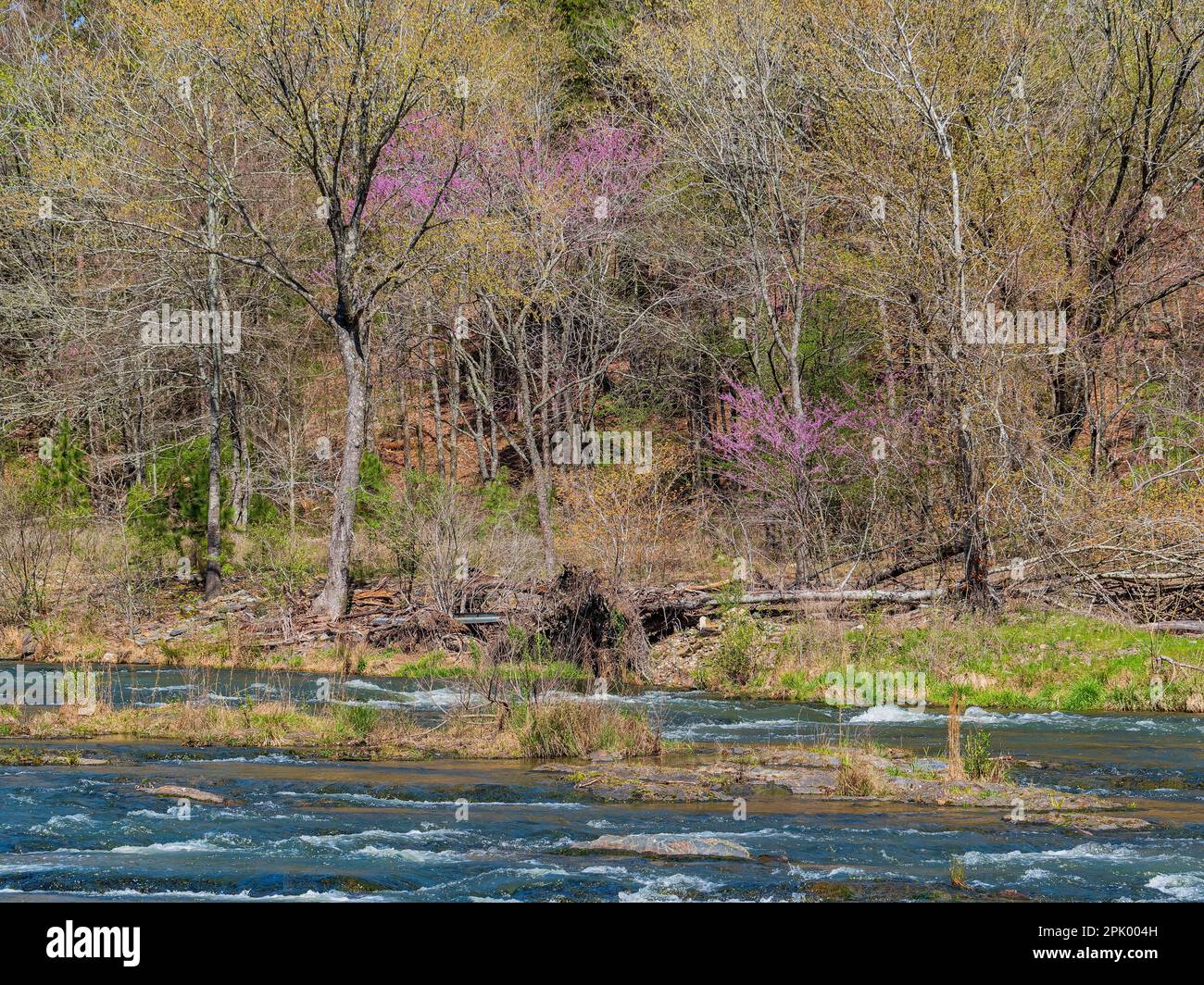 Sunny view of the landscape of Beaver River in Beavers Bend State Park