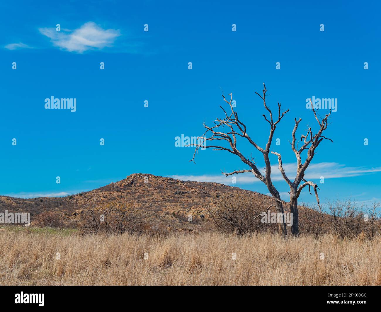 Crab eyes trail hires stock photography and images Alamy