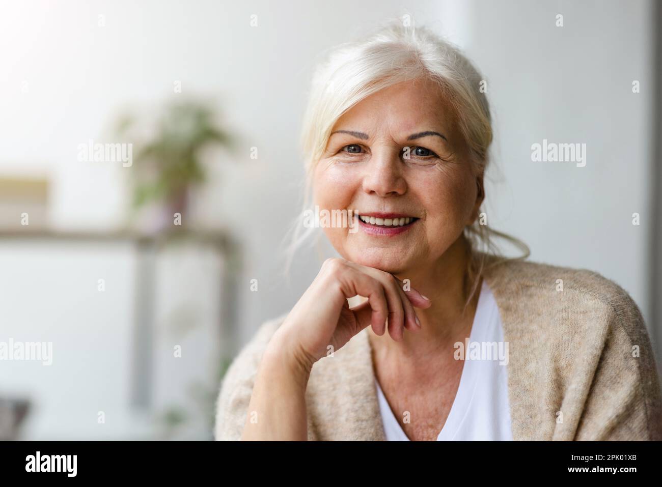 Portrait of smiling senior woman looking at camera Stock Photo