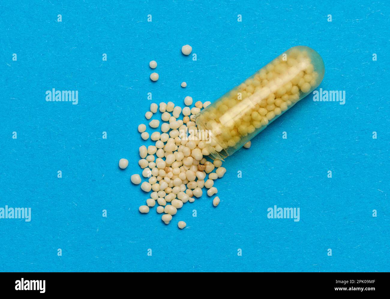 Transparent Medical Capsules With Yellow Granules Inside On A Blue Transparent Medical Capsules With Yellow Granules Inside On A Blue