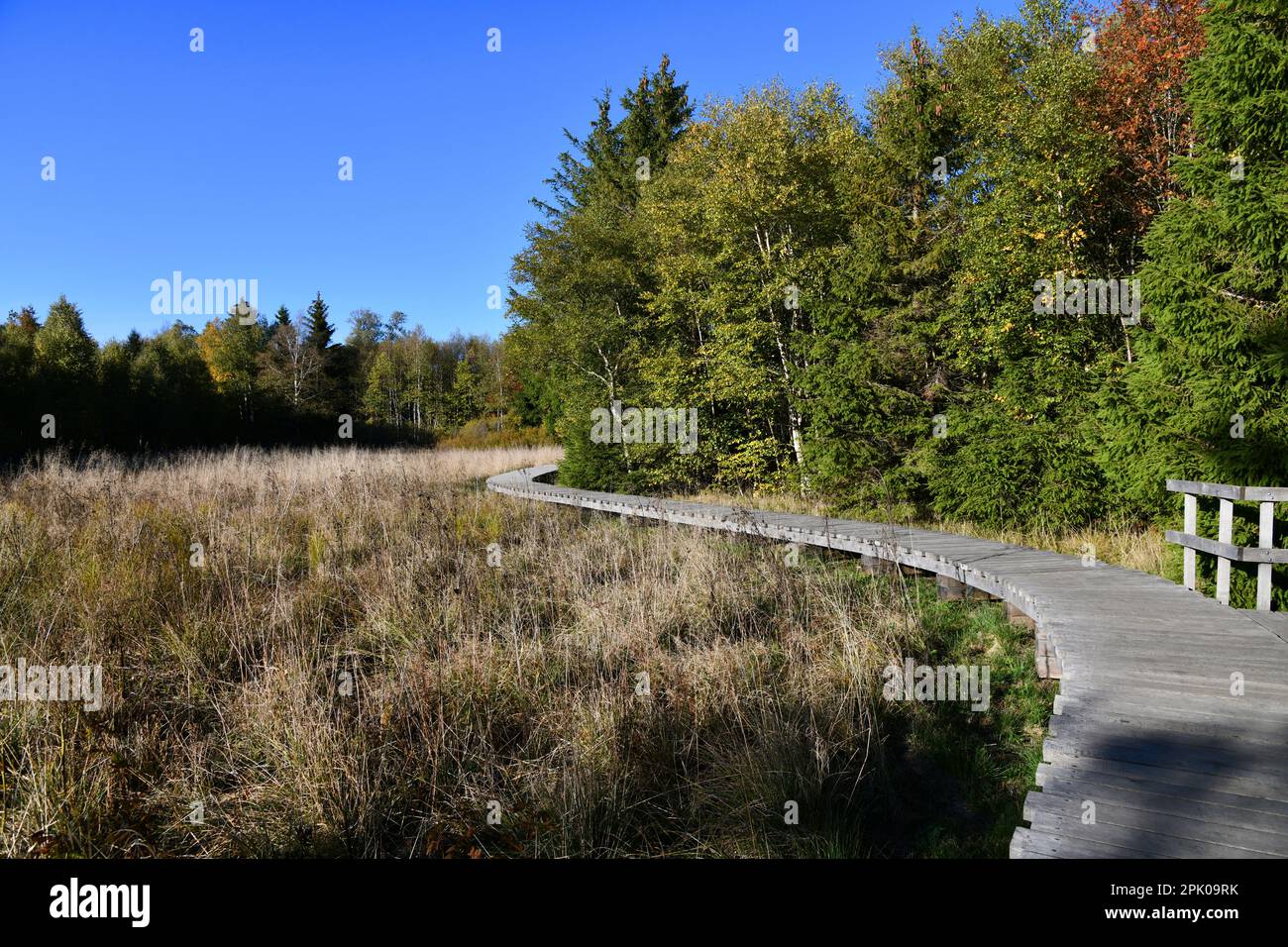 The black moor is one of the most beautiful geotopes in Bavaria Stock