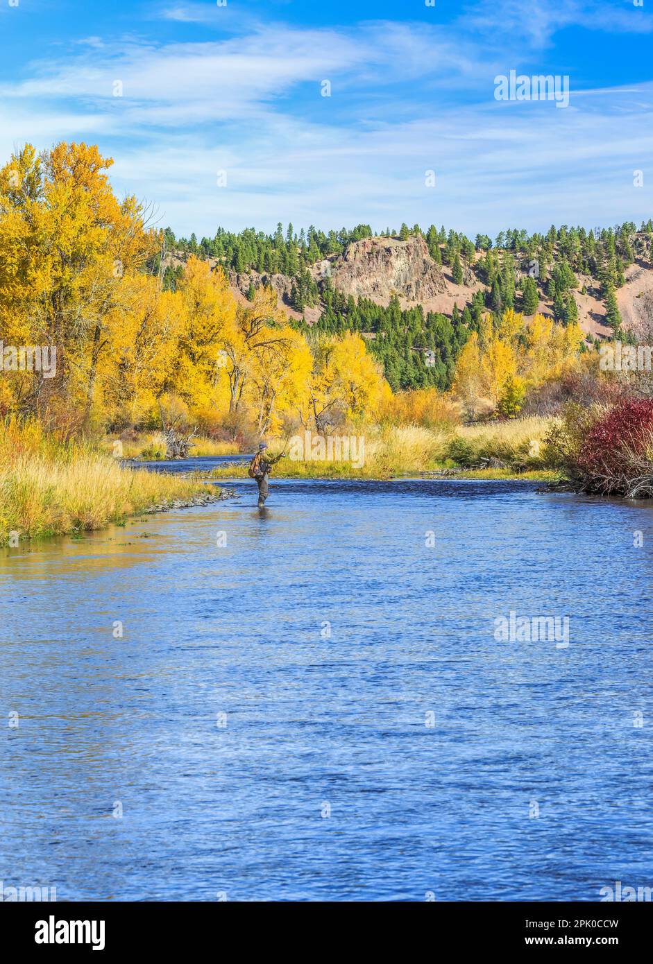 fisherman and fall colors along the little blackfoot river near avon, montana Stock Photo Alamy