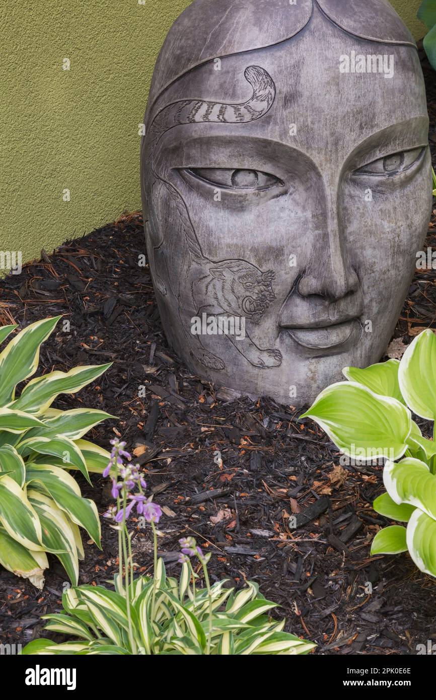Mixed Hostas including Hosta x hybrida 'Fragrant Bouquet' in mulch border decorated with concrete Asian face statue in summer. Stock Photo