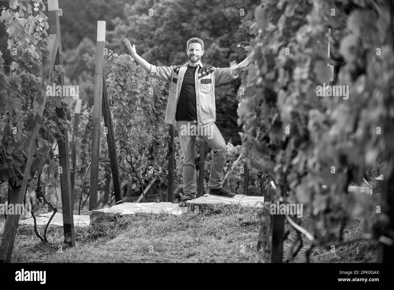 happy male vineyard owner. professional vintner on grape farm. man