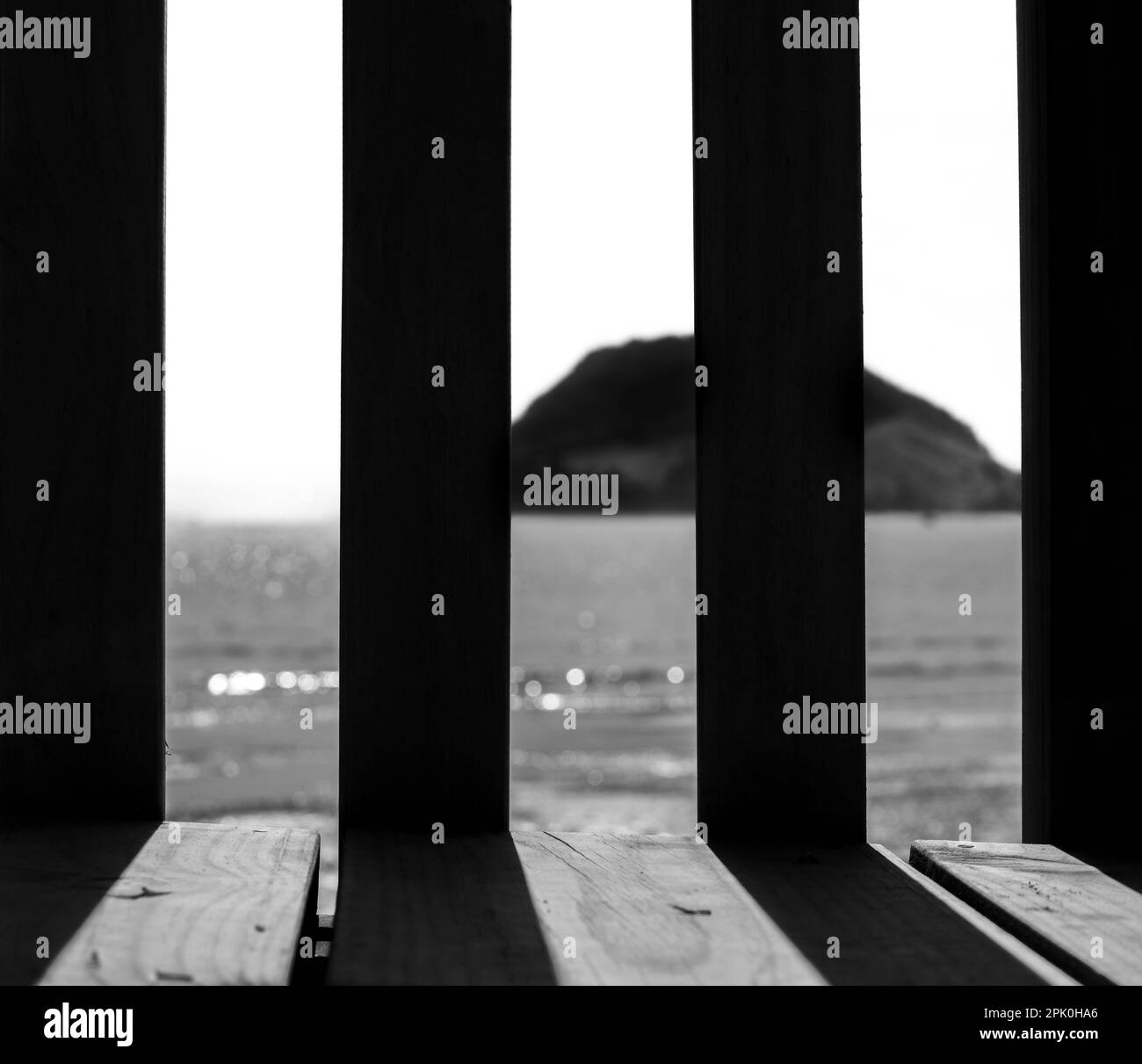 View through palings to horizon and landmark mount Maunganui on horizon