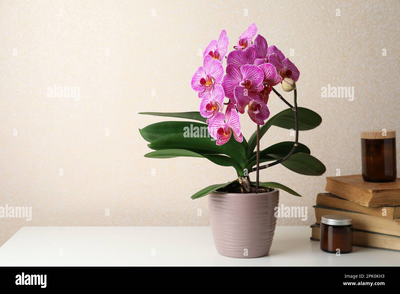 Beautiful blooming orchid, jars and stack of old books on white table near beige wall. Space for text Stock Photo