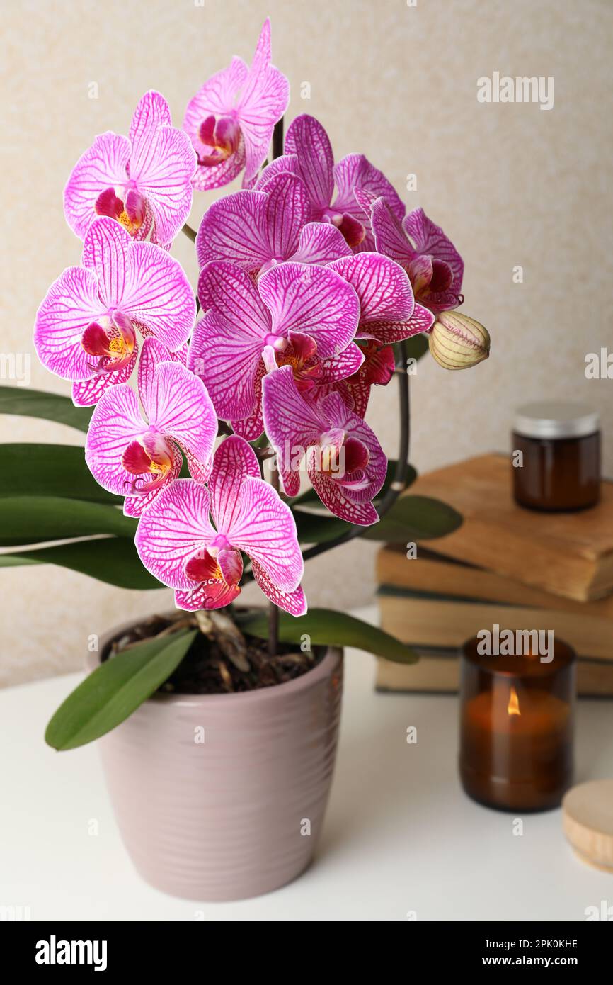 Beautiful blooming orchid, books and burning candle on white table Stock Photo