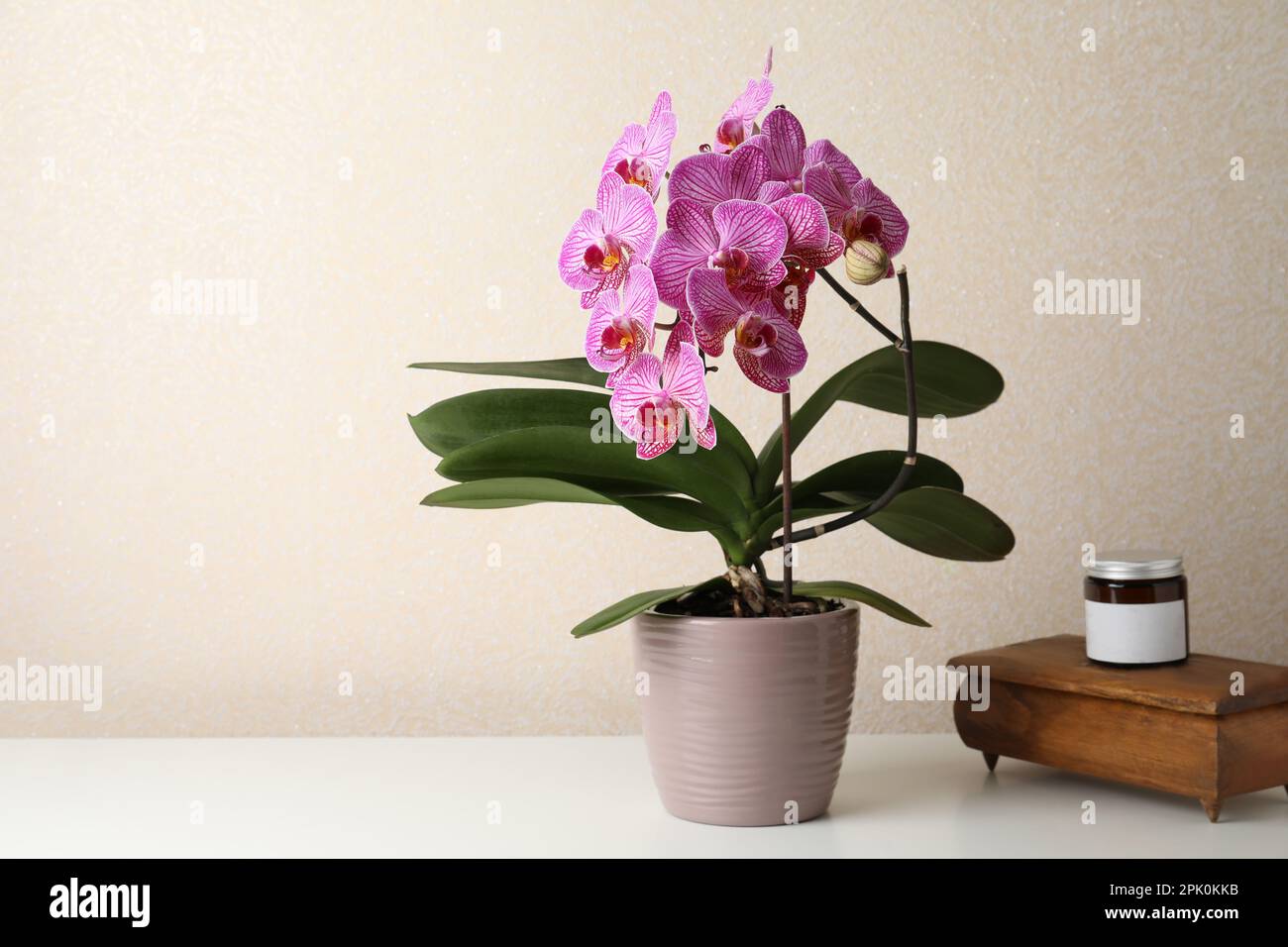 Beautiful blooming orchid, jar and old wooden jewelry box on white table near beige wall. Space for text Stock Photo
