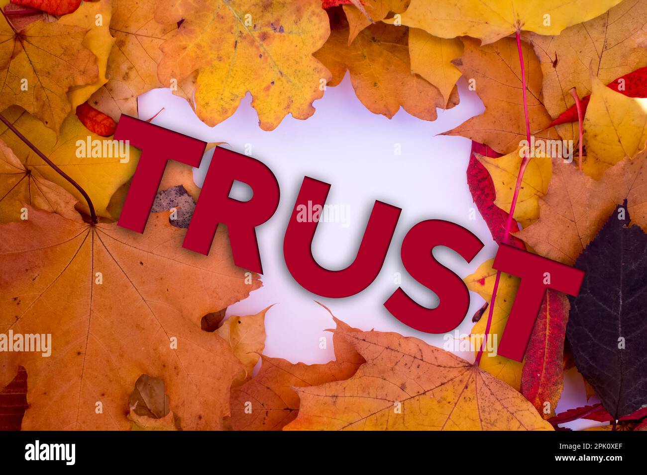 Autumn leaves, objects with Trust text. Natural patterns, color design. Stock Photo