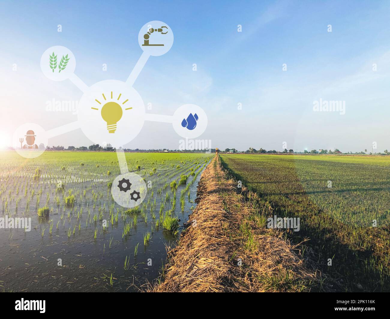 Agriculture field with high technologies and innovations in agro