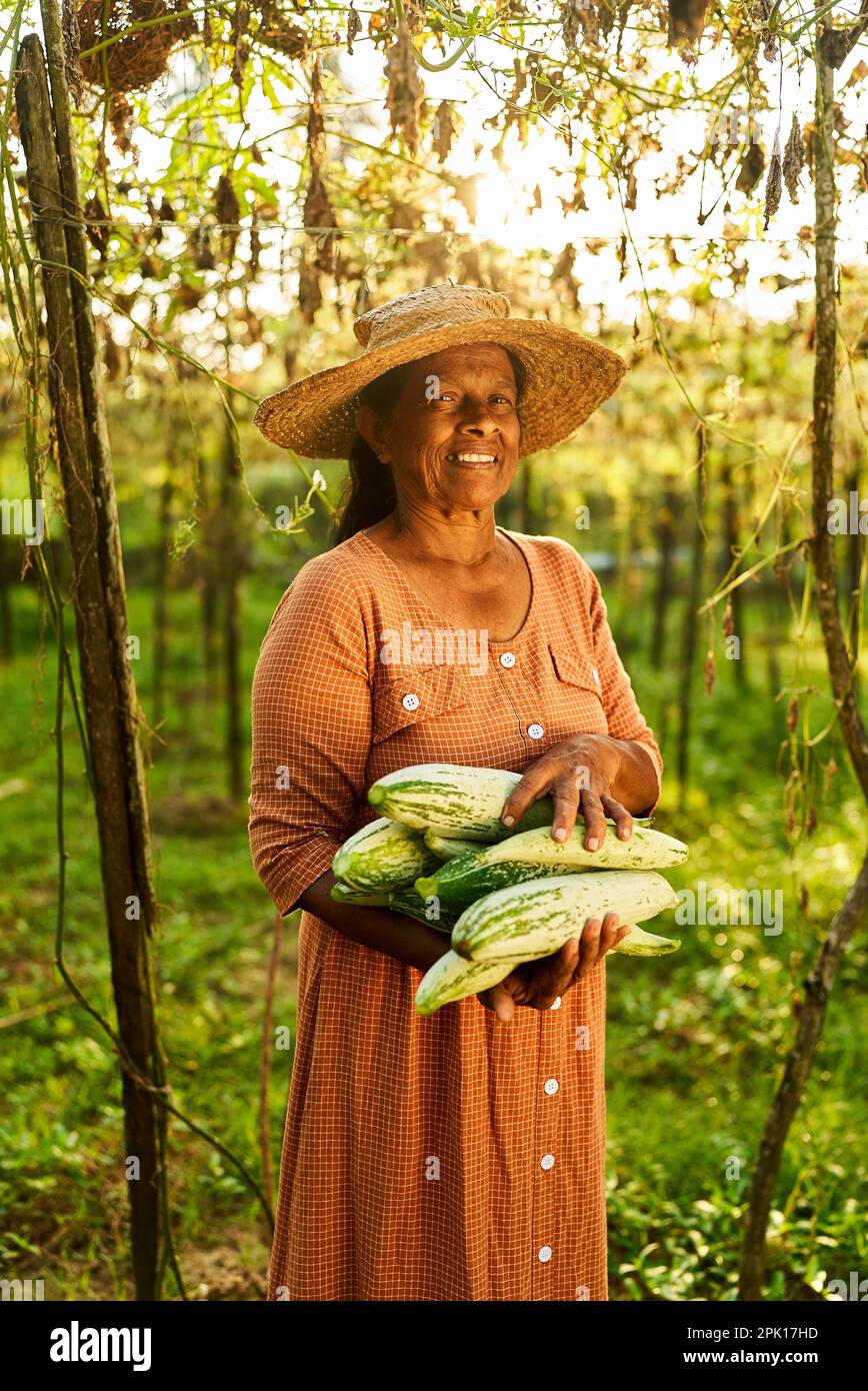 Senior happy Indian female farmer in straw hat holding harvested ...