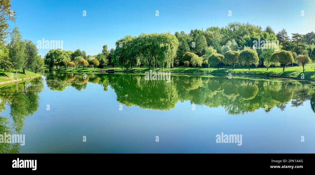 dead calm in summer morning sunlight. row of green trees along the riverbank mirroring in the still water. Stock Photo