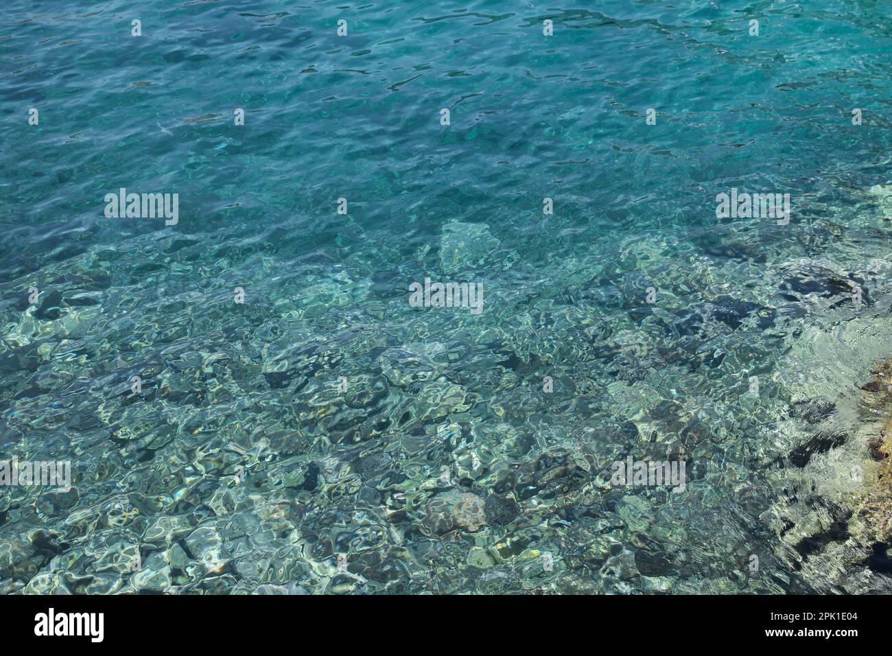 Shallow water with rocky sea bottom as background Stock Photo - Alamy