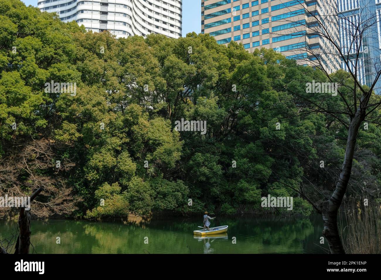 Tokyo, Japan - March 9, 2023: A man fishing in the center of Tokyo, at the Benkei Moat in Minato city, Tokyo, Japan. Stock Photo