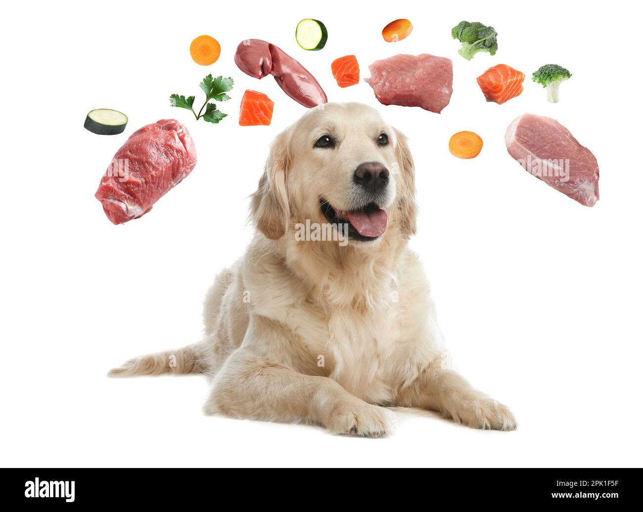 Cute dog surrounded by fresh products rich in vitamins on white background. Healthy diet for pet Stock Photo