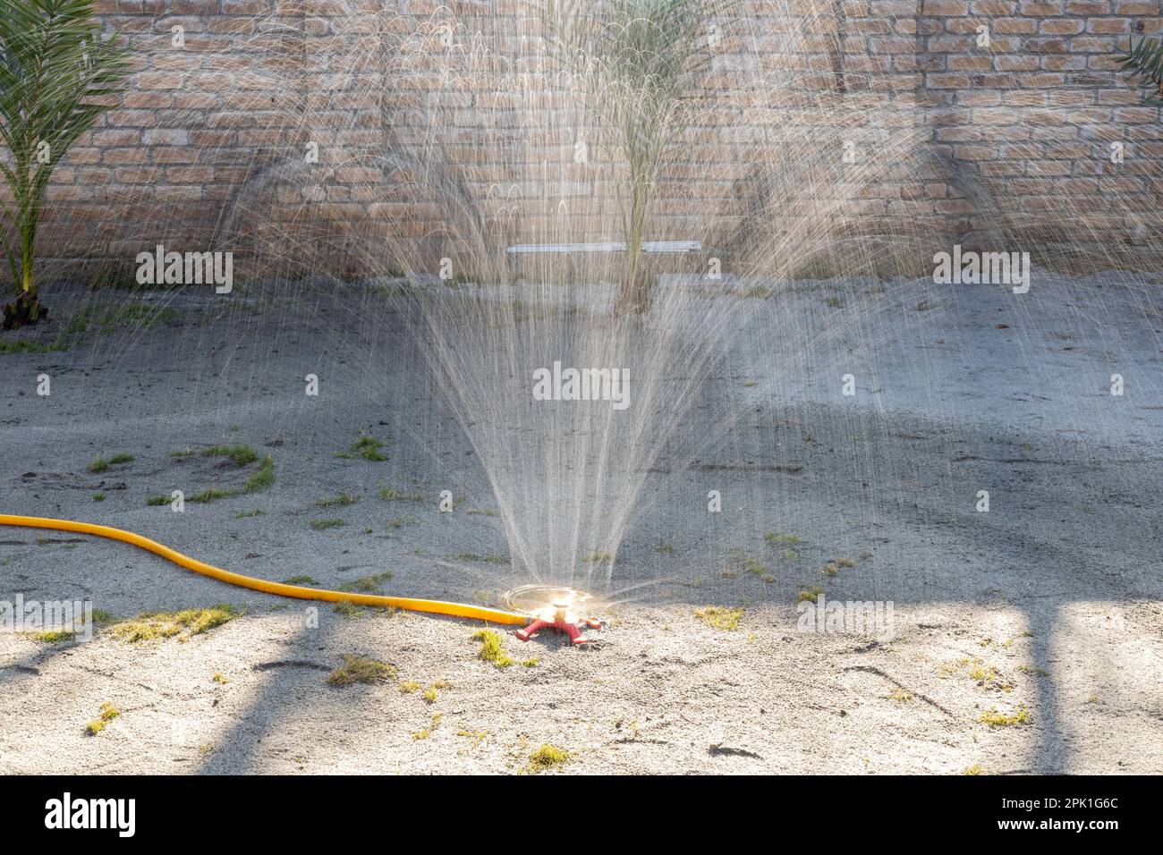 Garden lawn irrigation sprinkler system watering the grass. Selective focus. Stock Photo