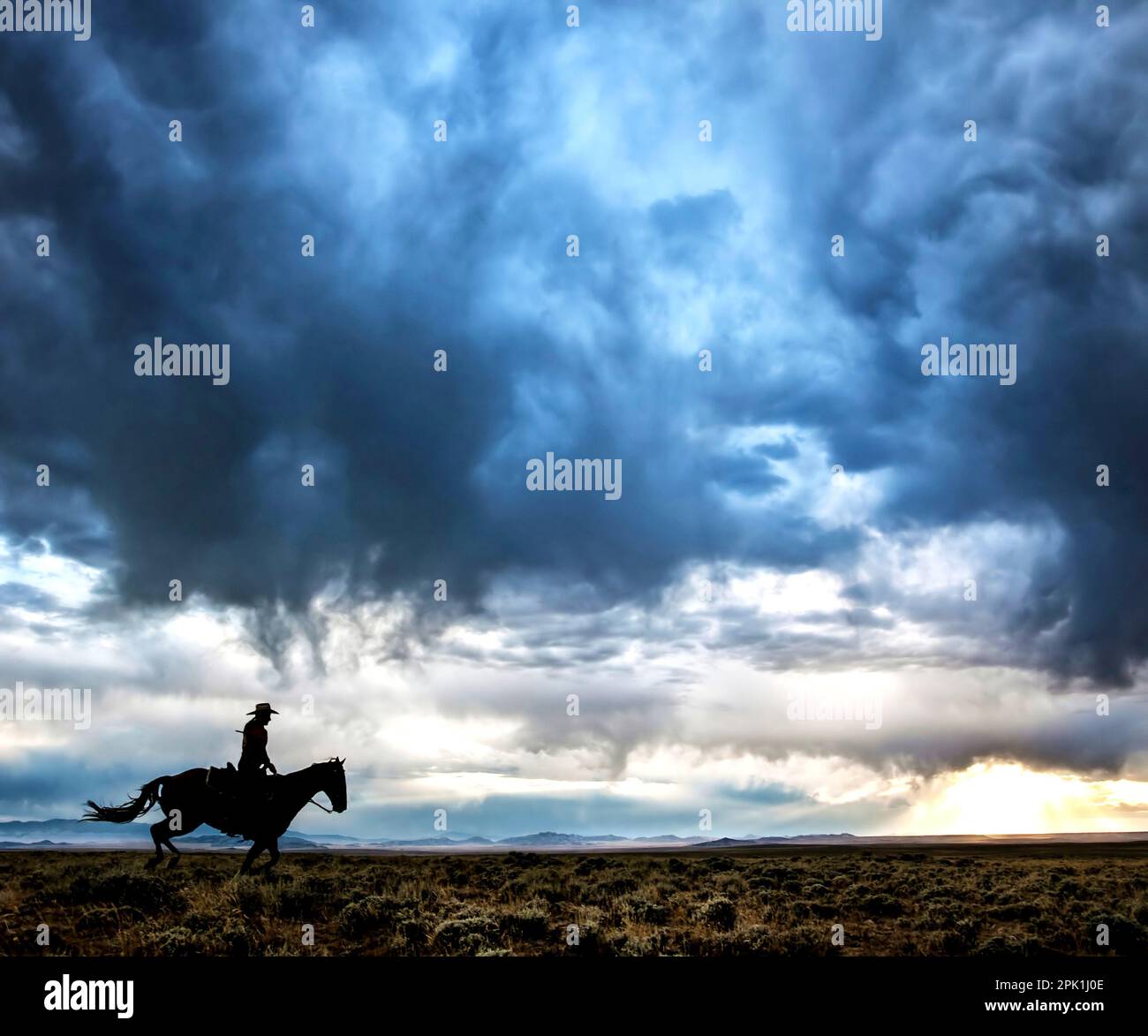 Cowboy heritage photo hi-res stock photography and images - Alamy