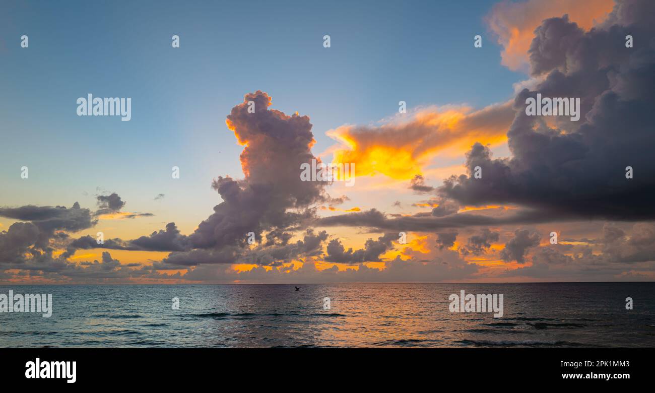 Sunset on tropical beach sea ocean with sunrise clouds. Banner for ...