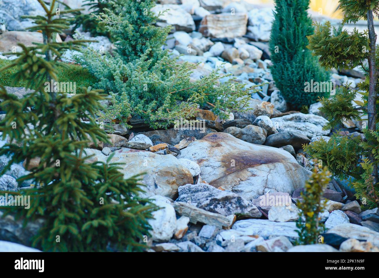 Types of ornamental grass hi-res stock photography and images - Alamy