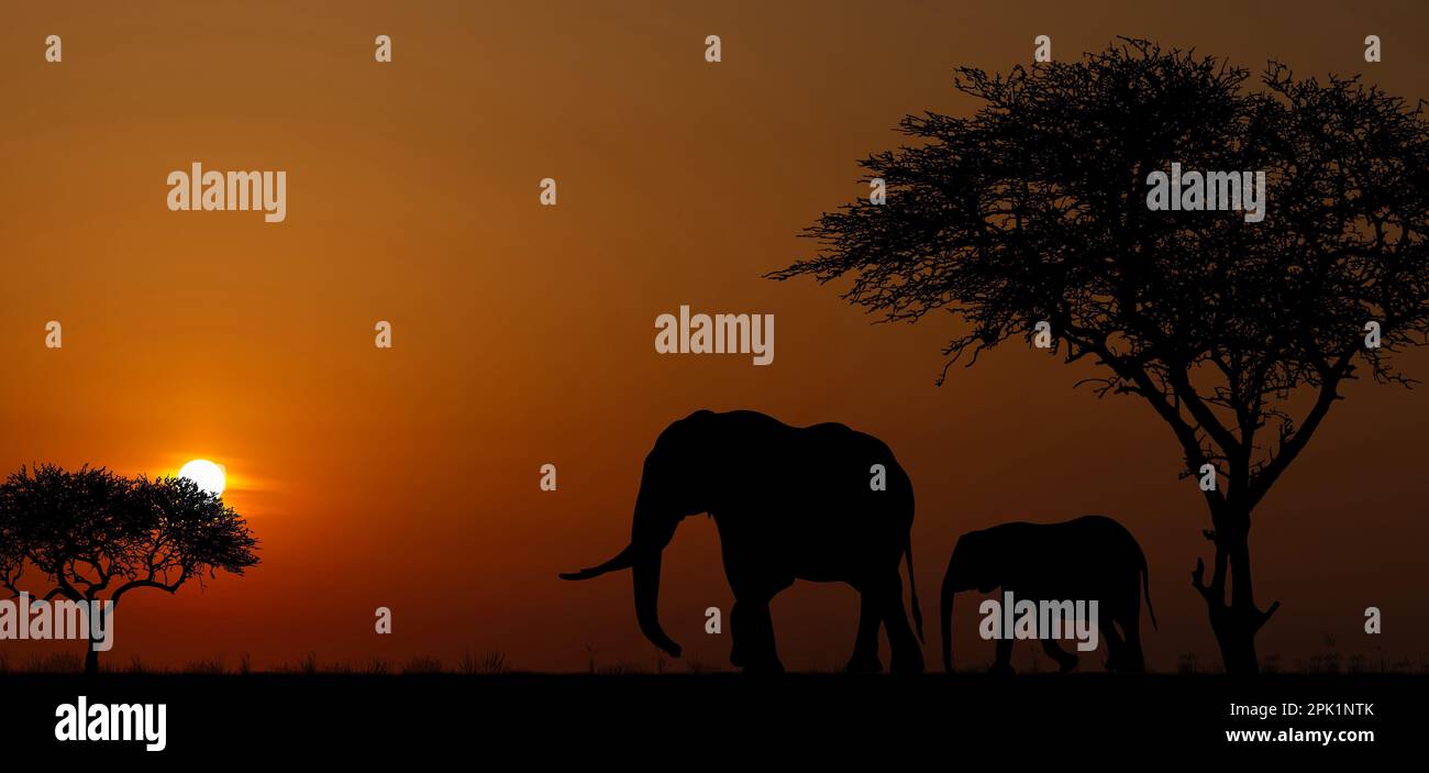 Silhouettes of african wild animals at sunset. Evening in African ...