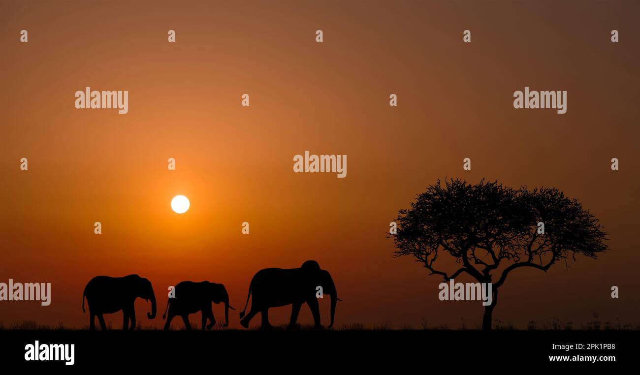 Silhouettes of african wild animals at sunset. Evening in African ...