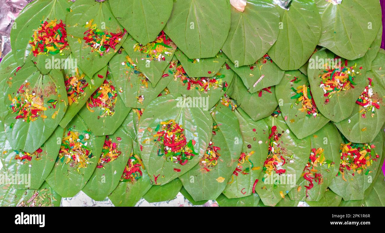 banarasi pan, betel nut garnished with all indian banarasi ingredients for sale. Calcutta Mitha, Meetha masala paan which is also works as mouth fresh Stock Photo