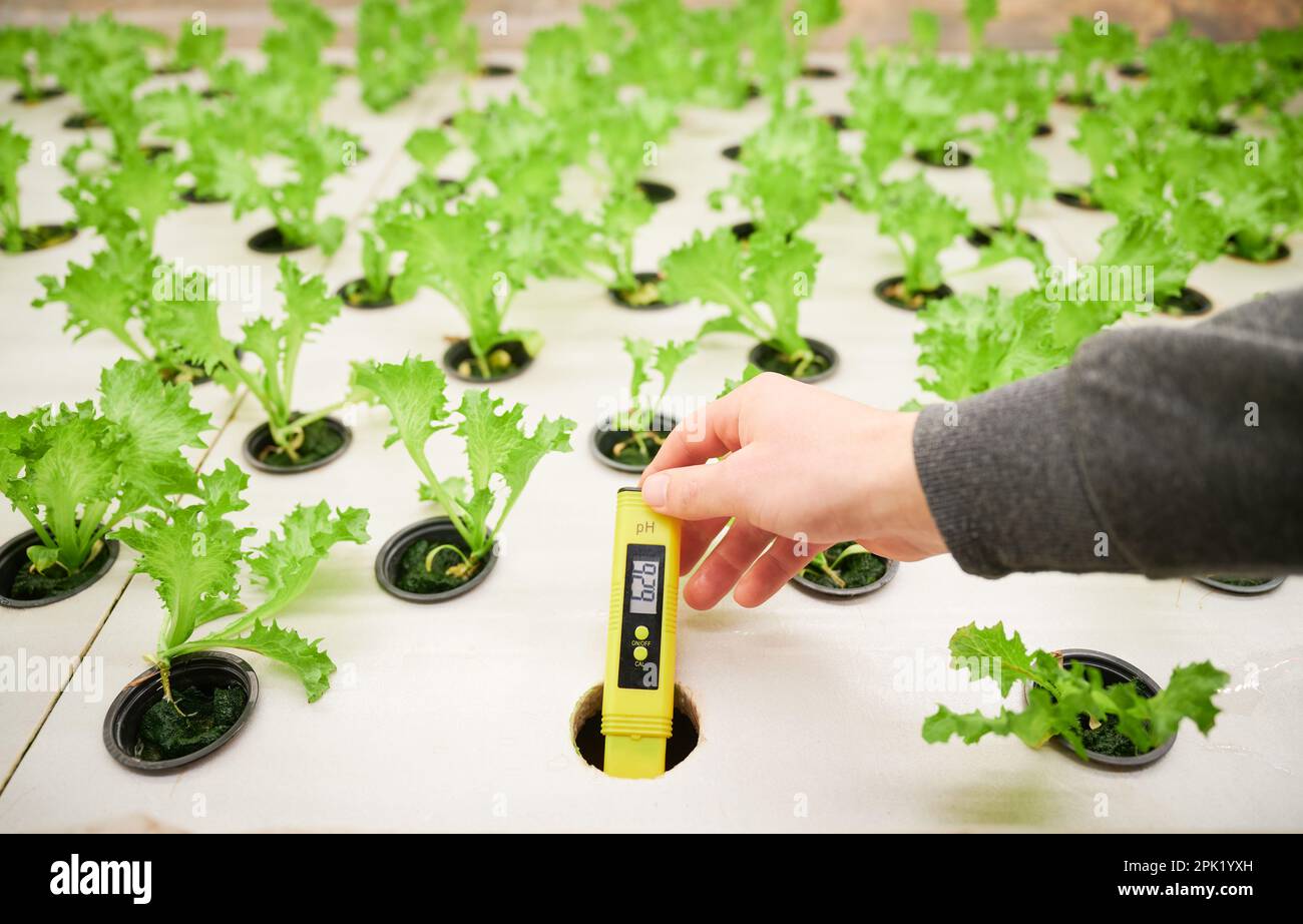 Close up of scientist with digital pH tester in hand standing near