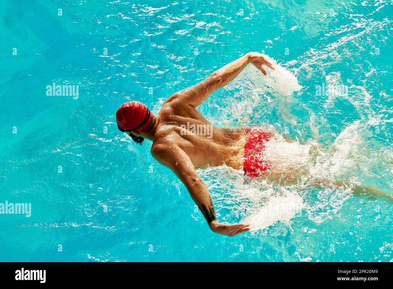 Aerial Top View Male Swimmer Swimming in Swimming Pool. Professional