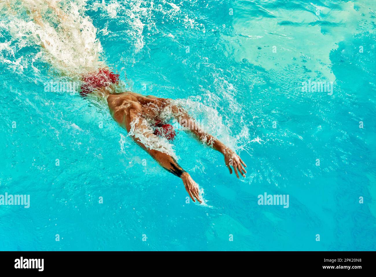 Aerial Top View Male Swimmer Swimming in Swimming Pool. Professional